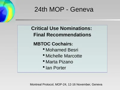 Critical Use Nominations: Final Recommendations