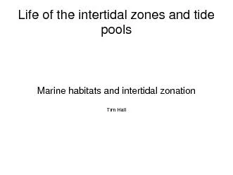Life of the intertidal zones and tide
