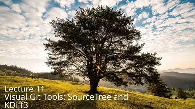 Lecture 11 Visual Git Tools: SourceTree and KDiff3