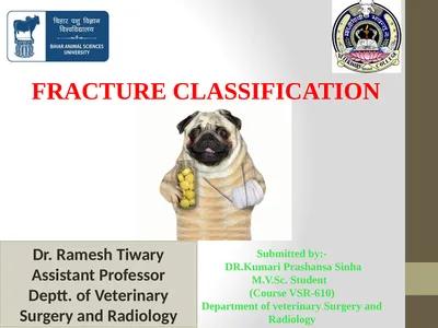 FRACTURE CLASSIFICATION Submitted by:- DR.Kumari