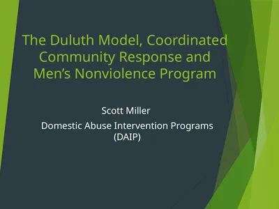 The Duluth Model, Coordinated Community Response