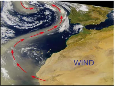 WIND Pressure Gradient Force (PGF) Causes air to