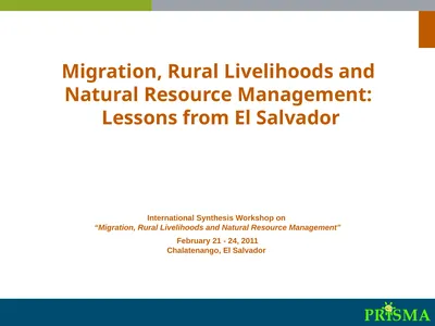 International Synthesis Workshop on “Migration,