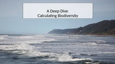 A Deep Dive Calculating Biodiversity How do we use
