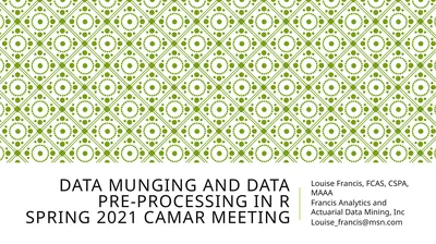 Data Munging And Data Pre-Processing in R SPRING