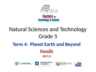 Natural Sciences and Technology Grade 5 Term 4: