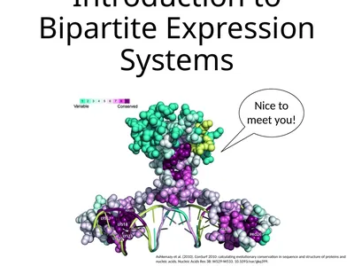 Introduction to Bipartite Expression Systems Nice