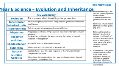 Year 6 Science – Evolution and Inheritance Key