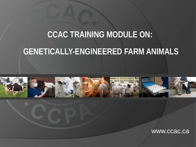 CCAC TRAINING MODULE ON: GENETICALLY-ENGINEERED
