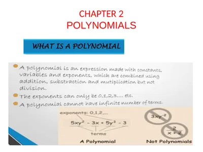 CHAPTER 2 POLYNOMIALS (1) Polynomial : The