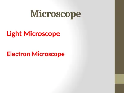 Microscope Light Microscope Electron Microscope