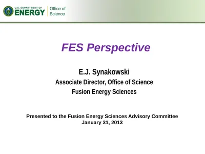FES Perspective E.J. Synakowski Associate