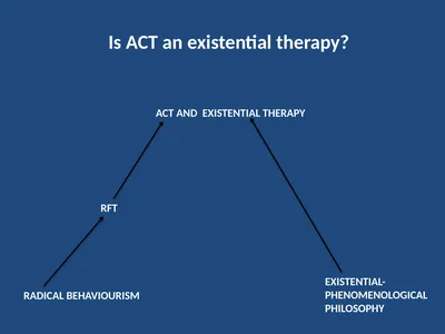 RADICAL BEHAVIOURISM RFT EXISTENTIAL-