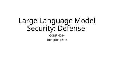 Large Language Model Security: Defense COMP 4634
