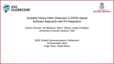 Scalable Heavy Hitter Detection: A DPDK-based