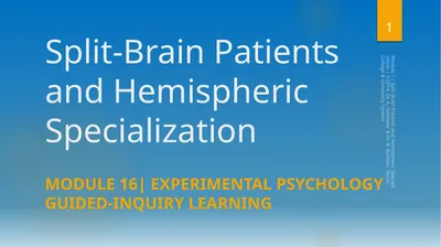 Split-Brain Patients and Hemispheric