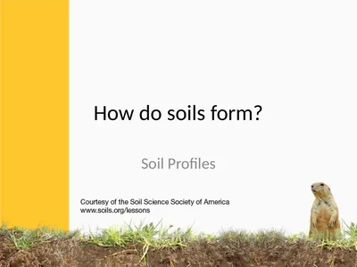 How do soils form? Soil Profiles How do you start