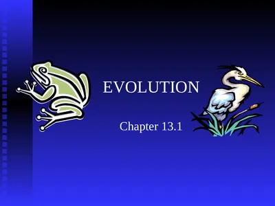 EVOLUTION Chapter 13.1 Charles Darwin Darwin’s