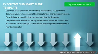 EXECUTIVE SUMMARY SLIDE TEMPLATE EXECUTIVE SUMMARY