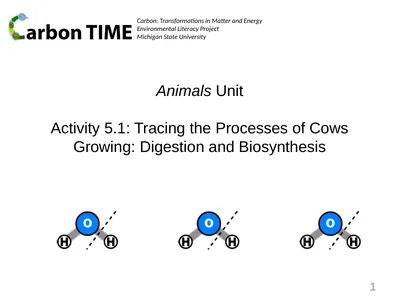 Animals Unit Activity 5.1: Tracing the Processes