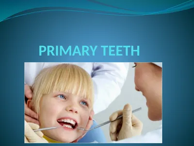 PRIMARY TEETH OBJECTIVES : 1) Identify name ,