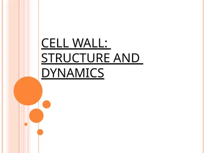 CELL WALL: STRUCTURE AND DYNAMICS INTRODUCTION