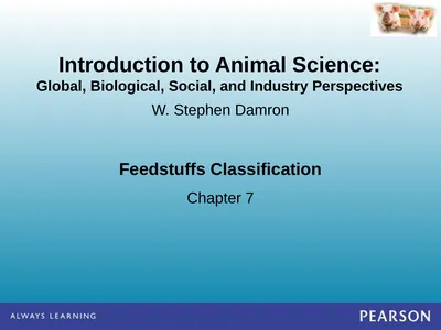 Feedstuffs Classification Chapter 7 W. Stephen