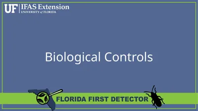 Biological Controls Biological control –