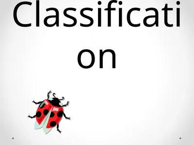 Classification Essential Question: How do