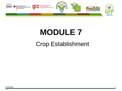 MODULE 7 Crop Establishment Objectives By the end