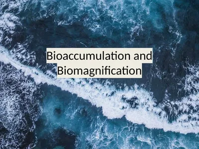 Bioaccumulation and Biomagnification