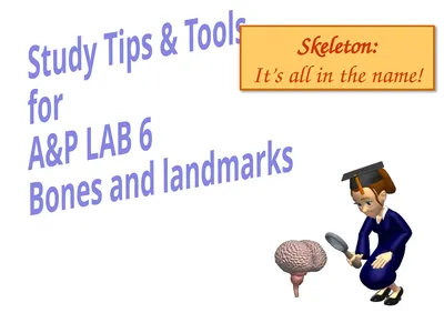 Study Tips & Tools for A&P LAB 6 Bones and