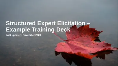 1 Structured Expert Elicitation – Example Training