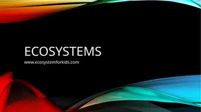 Ecosystems www.ecosystemforkids.com What is an
