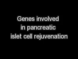 Genes involved in pancreatic islet cell rejuvenation