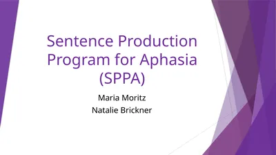 Sentence Production Program for Aphasia (SPPA)