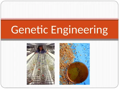 Genetic Engineering What is the difference between