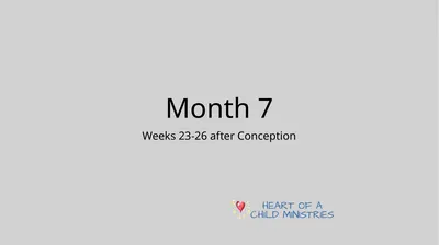 Month 7 Weeks 23-26 after Conception Blinking