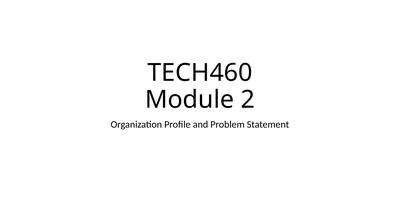 TECH460 Module 2 Organization Profile and Problem