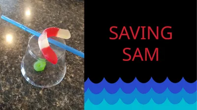 SAVING SAM Poor Sam is a worm that has found
