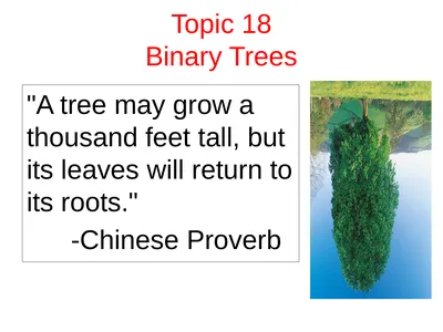 Topic 18 Binary Trees 