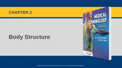 Body Structure CHAPTER 2 Learning Objectives List