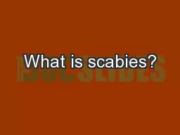 What is scabies?