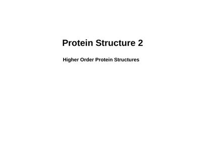 Protein Structure 2 Higher Order Protein
