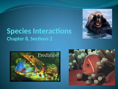 Species Interactions Chapter 8, Sections 2
