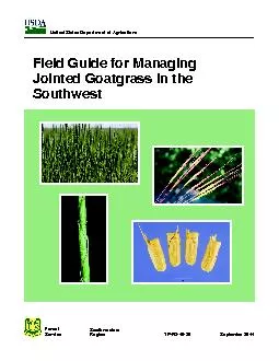 Field Guide for ManagingJointed Goatgrass in the Southwest
