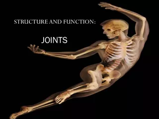 STRUCTURE AND FUNCTION: