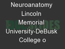 Professor of Neuroanatomy Lincoln Memorial University-DeBusk College o