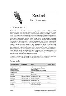 The kestrel (common kestrel) is widespread throughout Britain and Irel