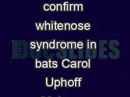 Histopathologic criteria to confirm whitenose syndrome in bats Carol Uphoff Meteyer Elizabeth